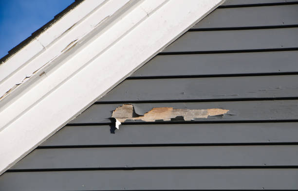  Cayce, SC Junk Removal Pros